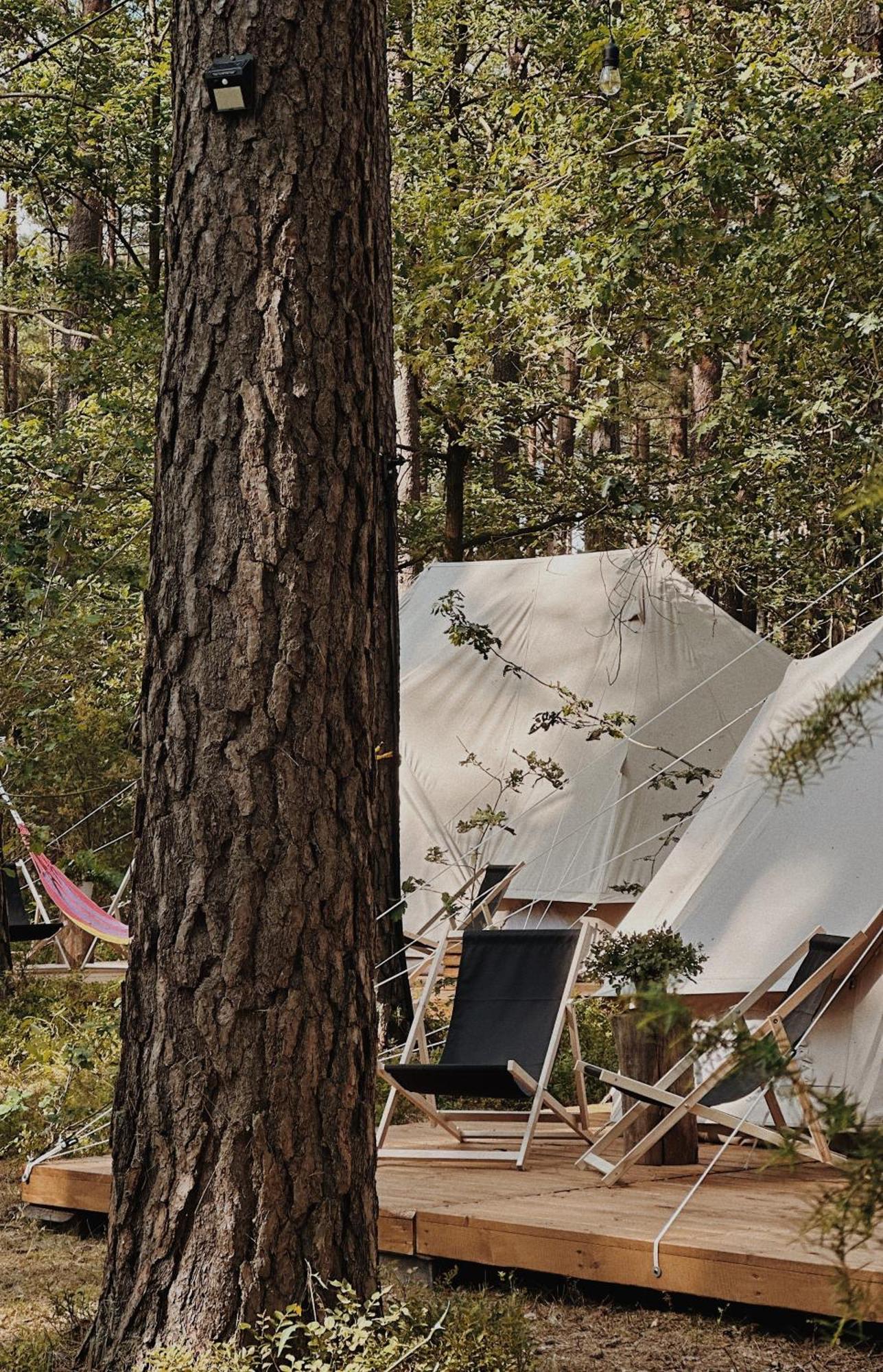 Wiatraki Nature Resort Ольштынек Экстерьер фото