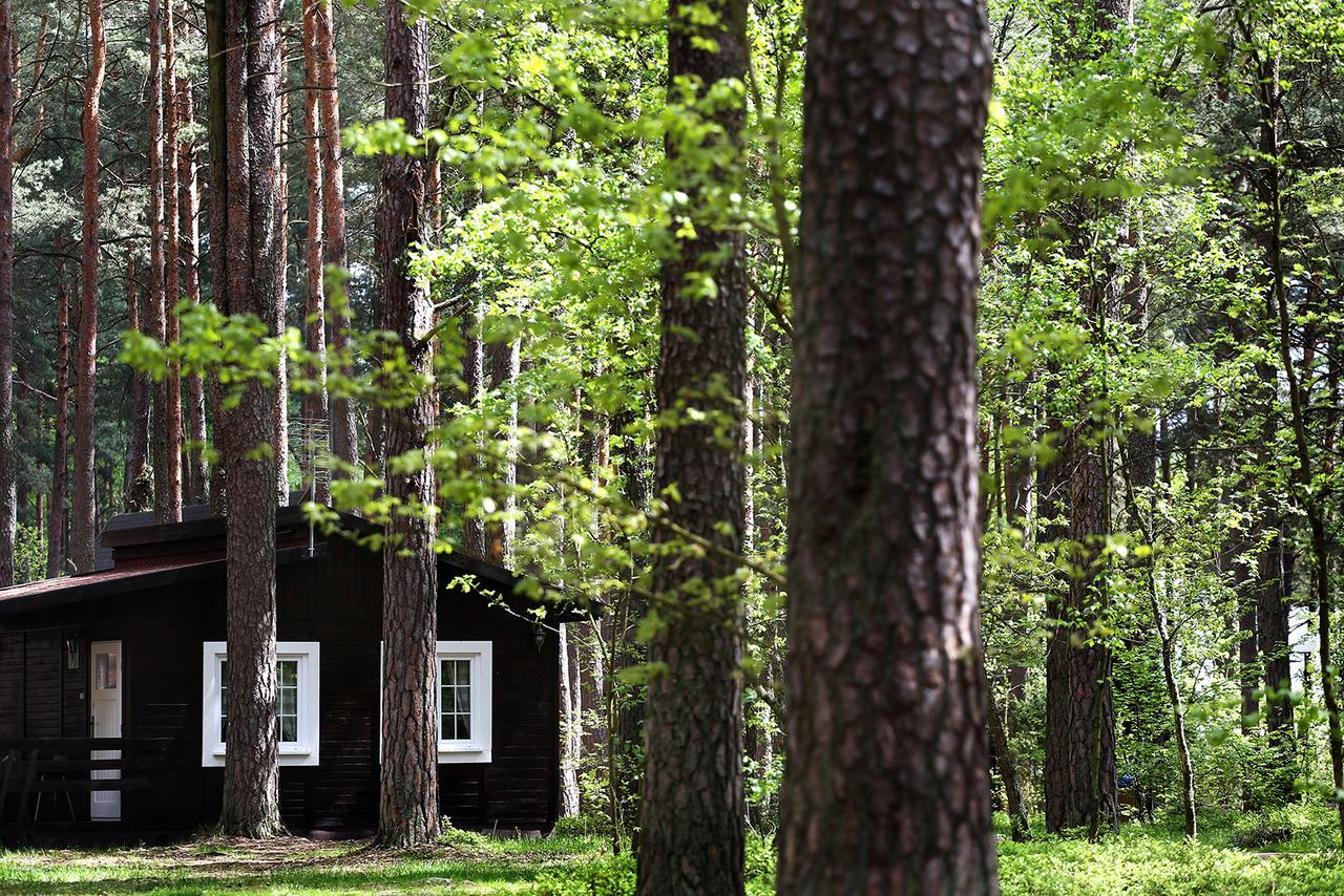 Wiatraki Nature Resort Ольштынек Экстерьер фото